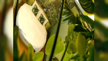 【偷拍大奶美眉】很少开房约炮有点矜持