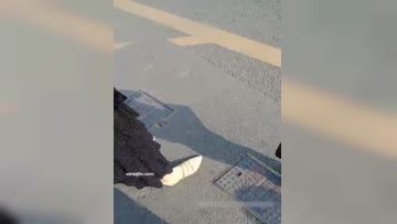 家中太卡出去开房双飞两个露脸骚货全过程身材都不错相貌也可以换着干淫水都挺多连搞2场对白精彩第01集