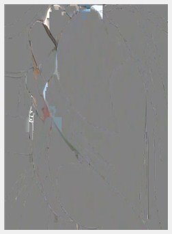 痴汉十人队 THE ANIMATION 3 ～狩人の伤痕～