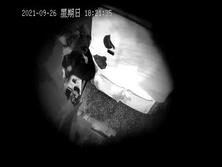 仔仔探花_四月四号啪啪不停